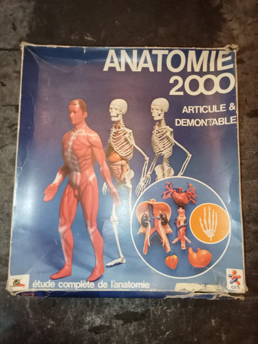Jeu éducatif anatomie 2000 - jeu,