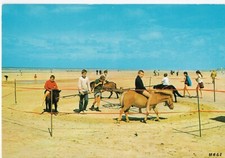 Quend-Plage-les-Pins - Manège de Poneys sur la plage
