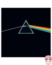 Disque vinyle remasterisé The Dark Side of the Moon 50th Anniversary