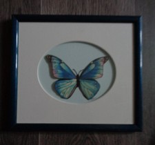 tableau reproduction papillon