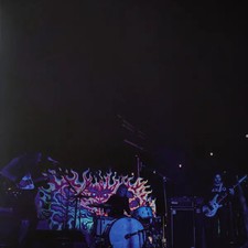 LP Fuzz Levitation Sessions