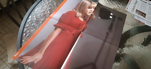 Sylvie vartan poster - sylvie,