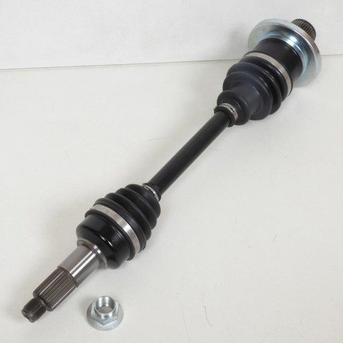 Cardan transmission art - cardan,