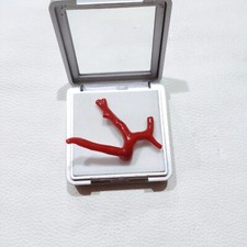 Branche de corail rouge pierre