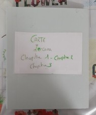 classeur de carte lorcana