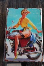 2884 D  PLAQUE METAL  PIN UP
