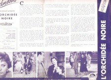 DP L'ORCHIDEE NOIRE SOPHIA