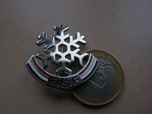Insigne ancien ski esf - ,