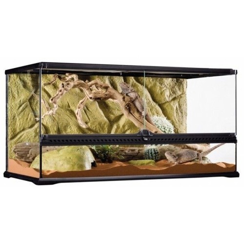 Terrariums vivariums - /,