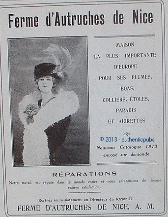 Publicite ferme autruches de - ferme, d'autruches