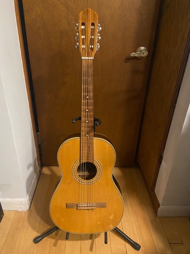 Rare giannini serie estudo - giannini,
