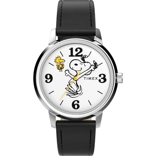 Cadran blanc timex - cadran, x