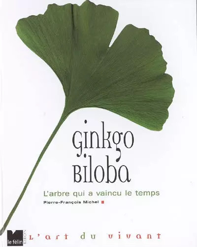 Ginkgo biloba collectif - ginkgo,