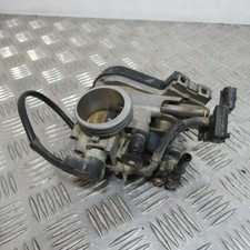 Corps papillon injection