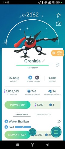 Greninja shiny amphinobi - /,