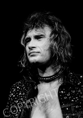 Photo johnny hallyday - johnny,