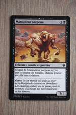 Carte  Magic  MTG :  Maraudeur