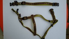 Collier + Harnais Chien MARTIN