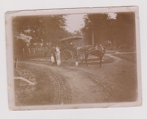 Photo ancienne femmes - ancienne, 🎞️