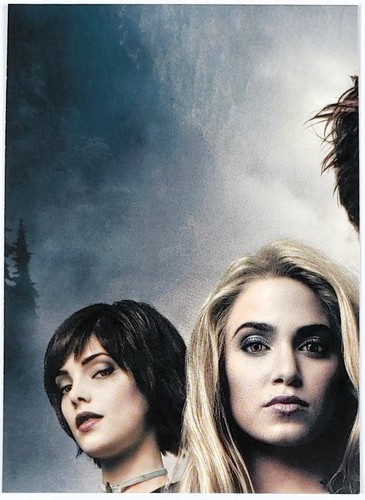2010 the twilight saga - twilight, eclipse
