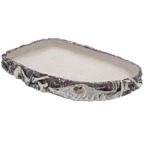 Terrarium accessories resin - terrarium,