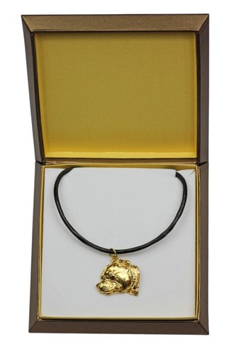 Staffy type collier - collier, doré