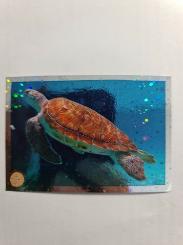 Image sticker autocollant