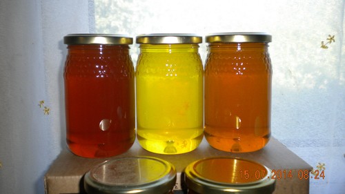 Pots miel ronce 1 - 3,