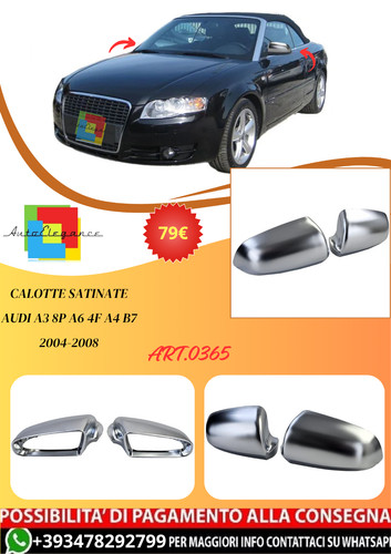 Art 0365 coques - 0365,