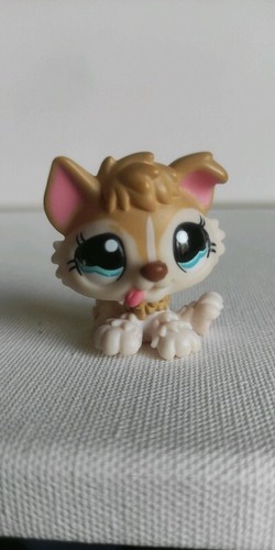 Lps00645 littlest petshop - my,