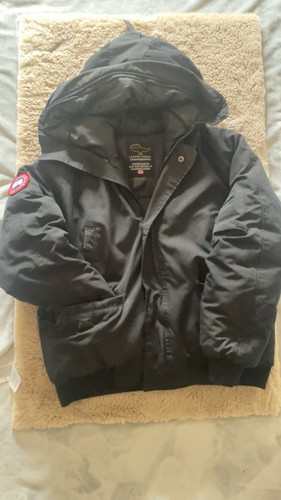 Canada goose