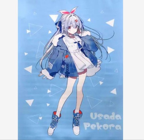 Pekora usada tapestry - b2,