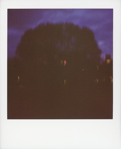 Original polaroid photograph - polaroid,