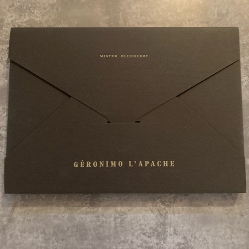 Geronimo apache gir - l'apache,