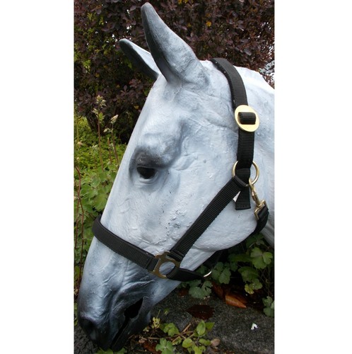 Halter eco with nubuck - , lined