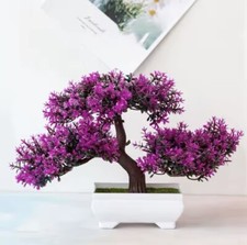 Plantes bonsaï plastique - plantes,