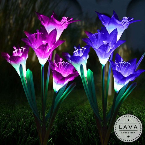 Packs solar power lily - packs,