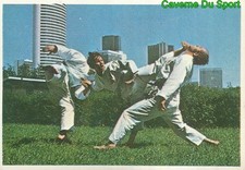 203 BRUCE LEE STICKER VIGNETTE FIGURINE CROMO KUNG FU KARATE FRANCE 1976