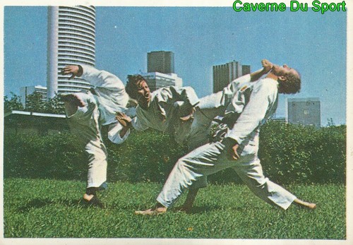 203 bruce lee sticker vignette - 203,