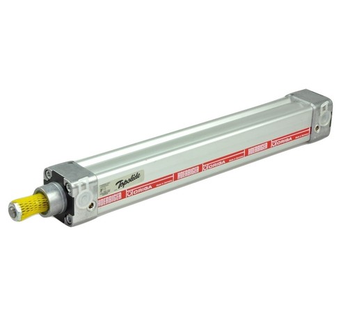 Vérin pneumatique hoerbiger - pneumatique,