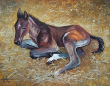 Tableau huile original cheval