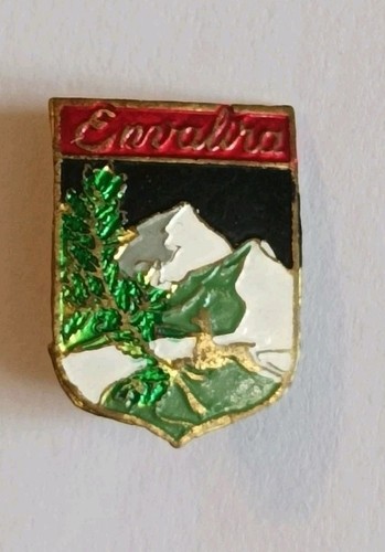écussons broche ancienne - broche,