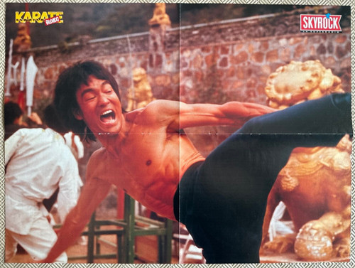 Bruce lee festival arts - bruce,