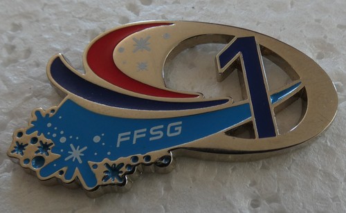Rare grand pin ffsg - rare, pin's