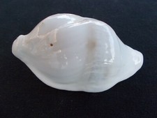 ovula ovum deformé (freak)