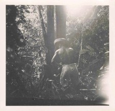 ANCIENNE PHOTO +- 1955 GUYANE REGION DE L'OYAPOCK UN HOMME TRAVAIL FORESTIER