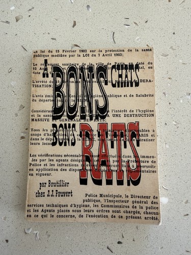 Bons chats - chats,