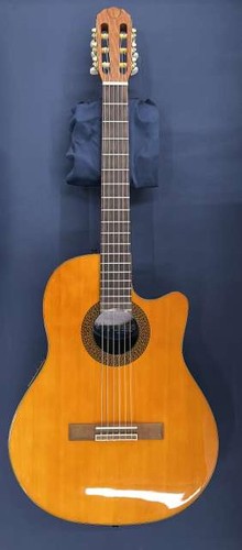 Guitare acoustique électrique