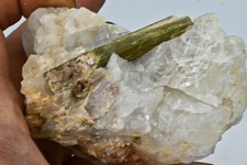 Cristal de Tourmaline Verte  sur Quartz   504g  spécimen minérale