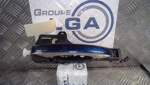 Poignee porte arriere gauche